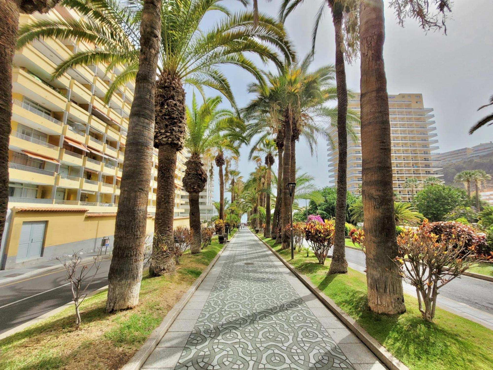 Alta Beachside Apartments 拉克鲁斯 外观 照片